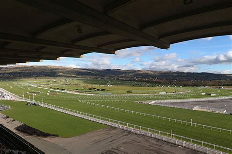 cheltenham going friday|Cheltenham Going Updates .